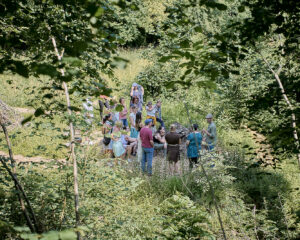 Führung: Pflanzenbegegnung im Ceres Heilpflanzengarten