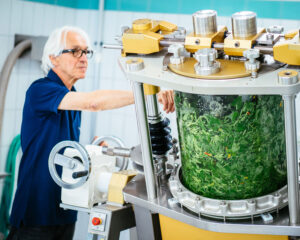 Von der Heilpflanze zur ganzheitlichen Arznei – Die besondere Art der Verarbeitung