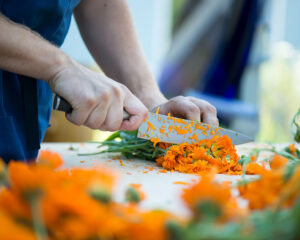 Von der Heilpflanze zur ganzheitlichen Arznei – Die besondere Art der Verarbeitung
