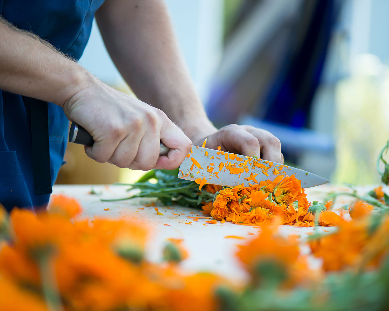 Von der Heilpflanze zur ganzheitlichen Arznei – Die besondere Art der Verarbeitung