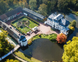 Pflanzen-Exkursion: Wesen und Signatur der Heilpflanzen