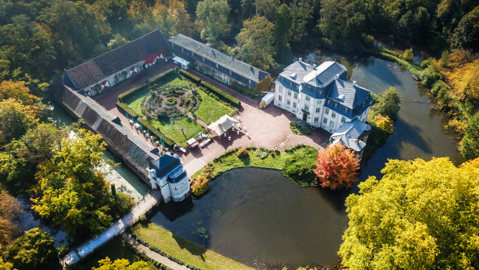 Pflanzen-Exkursion: Wesen und Signatur der Heilpflanzen